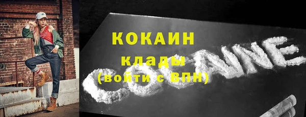 СК Новодвинск