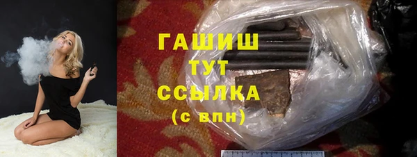 2c-b Новозыбков