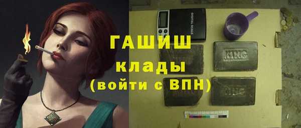 СК Новодвинск