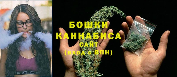 СК Новодвинск