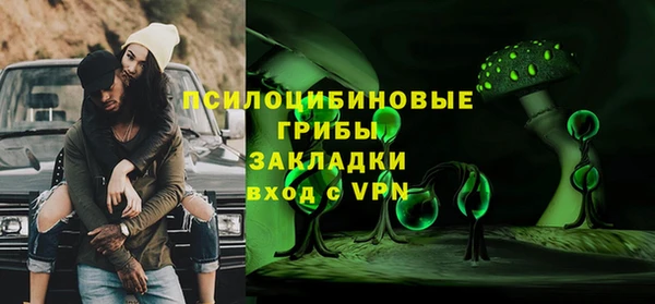 СК Новодвинск